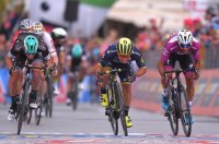 Австралиец Калеб Эван победил на седьмом этапе «Джиро д’Италия» (+Видео) - «ВЕЛОСПОРТ»