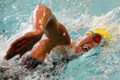 Американка Твичел – чемпионка мира в плавании на 5 км; Панчишко – 23-я - «ПЛАВАНИЕ»